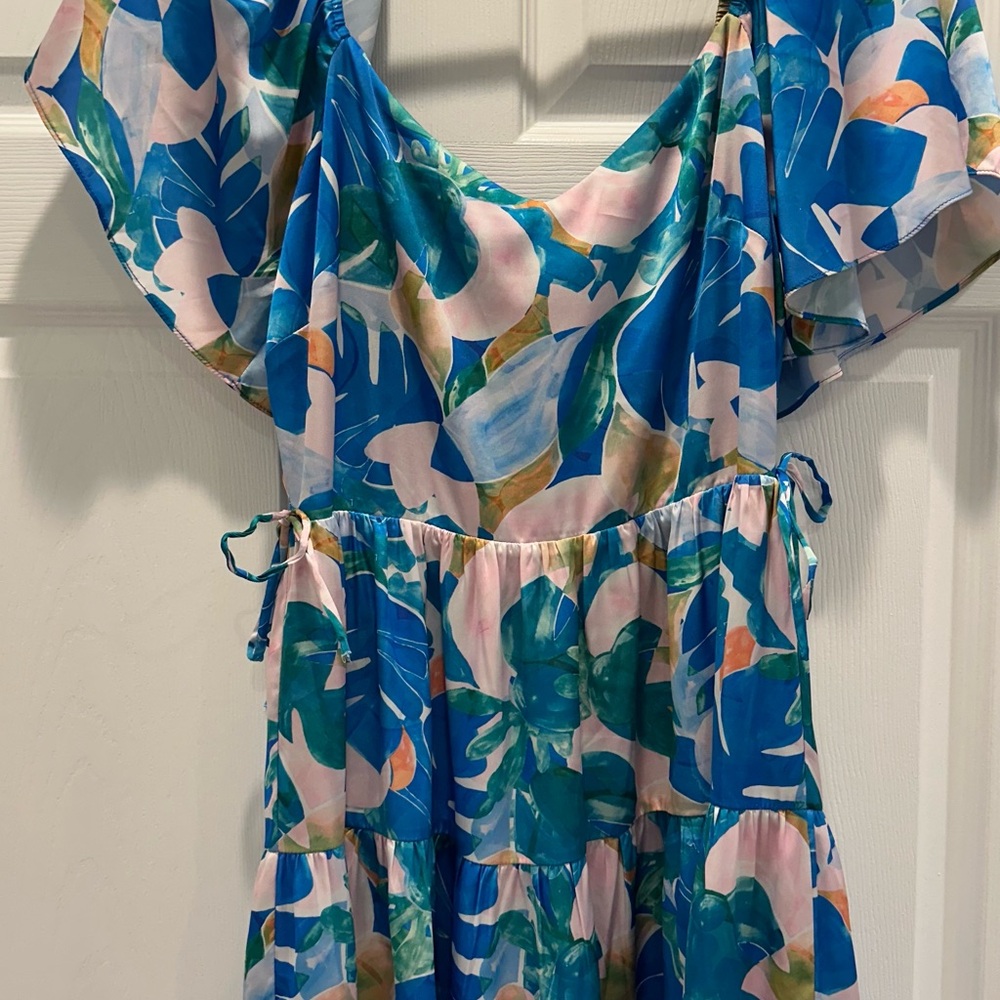 Greylin Blue and Pink Floral Dress